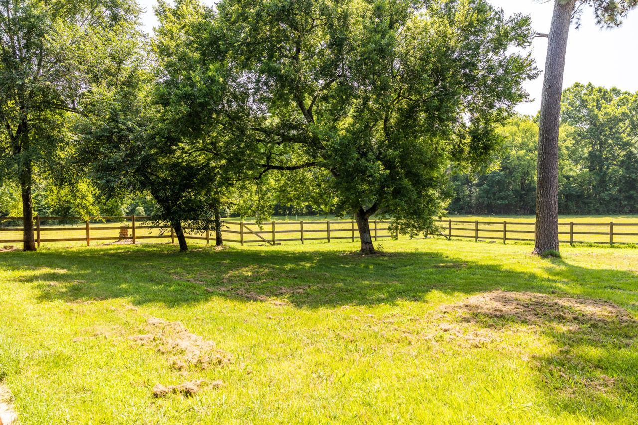 Selwood Farms Kennels For Short & LongTerm Boarding
