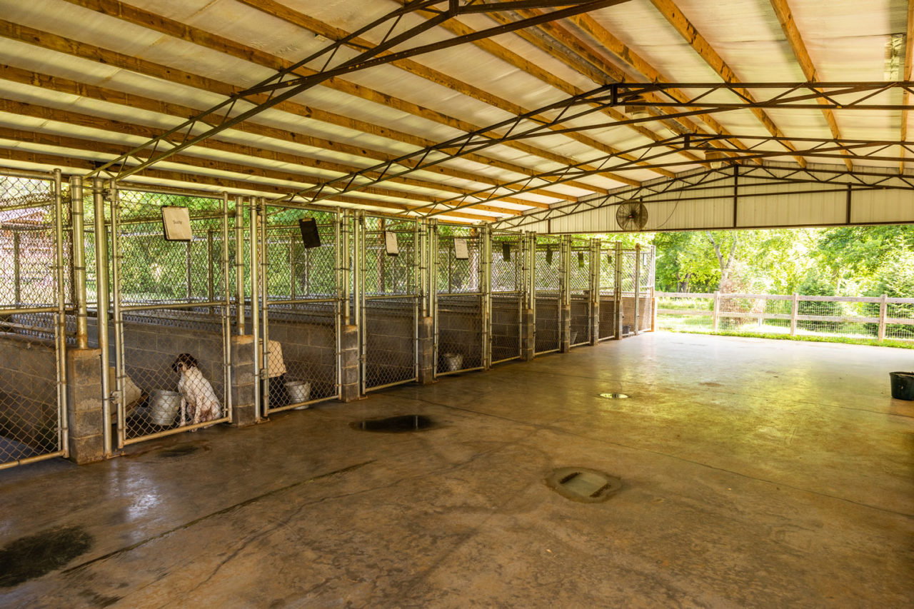 Selwood Farms Kennels For Short & LongTerm Boarding